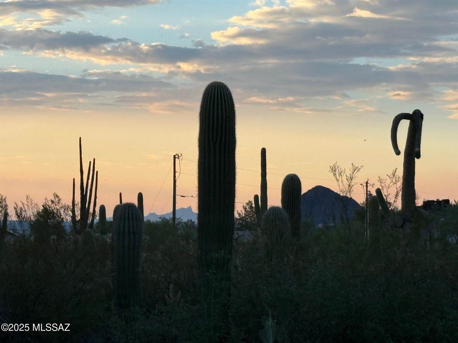 6080 North Bobcat Lane, Marana, AZ 85743