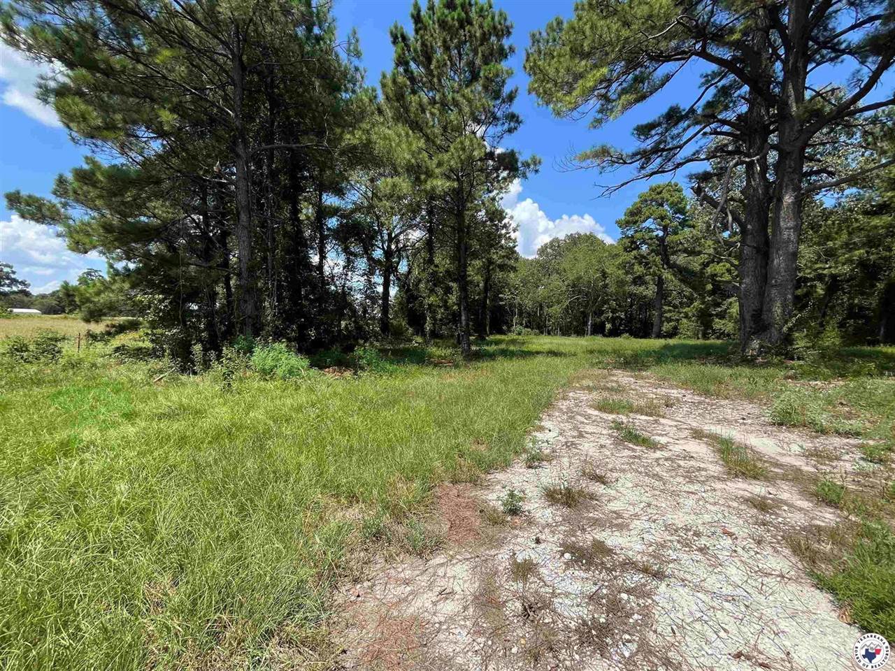 4634 US Hwy 67 W, Simms, TX 75574