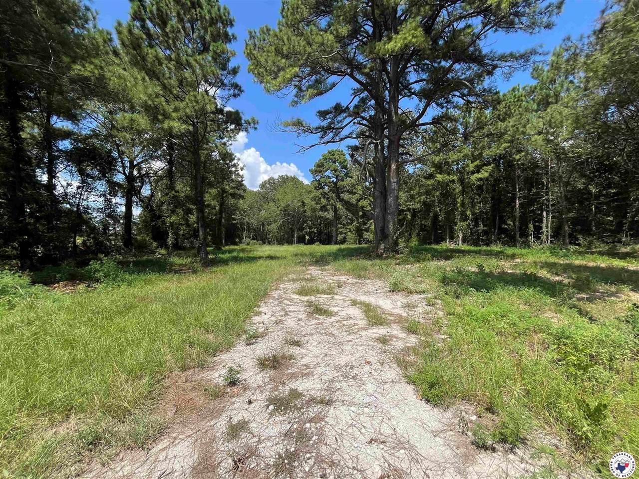 4634 US Hwy 67 W, Simms, TX 75574