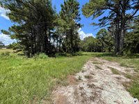 4634 US Hwy 67 W, Simms, TX 75574