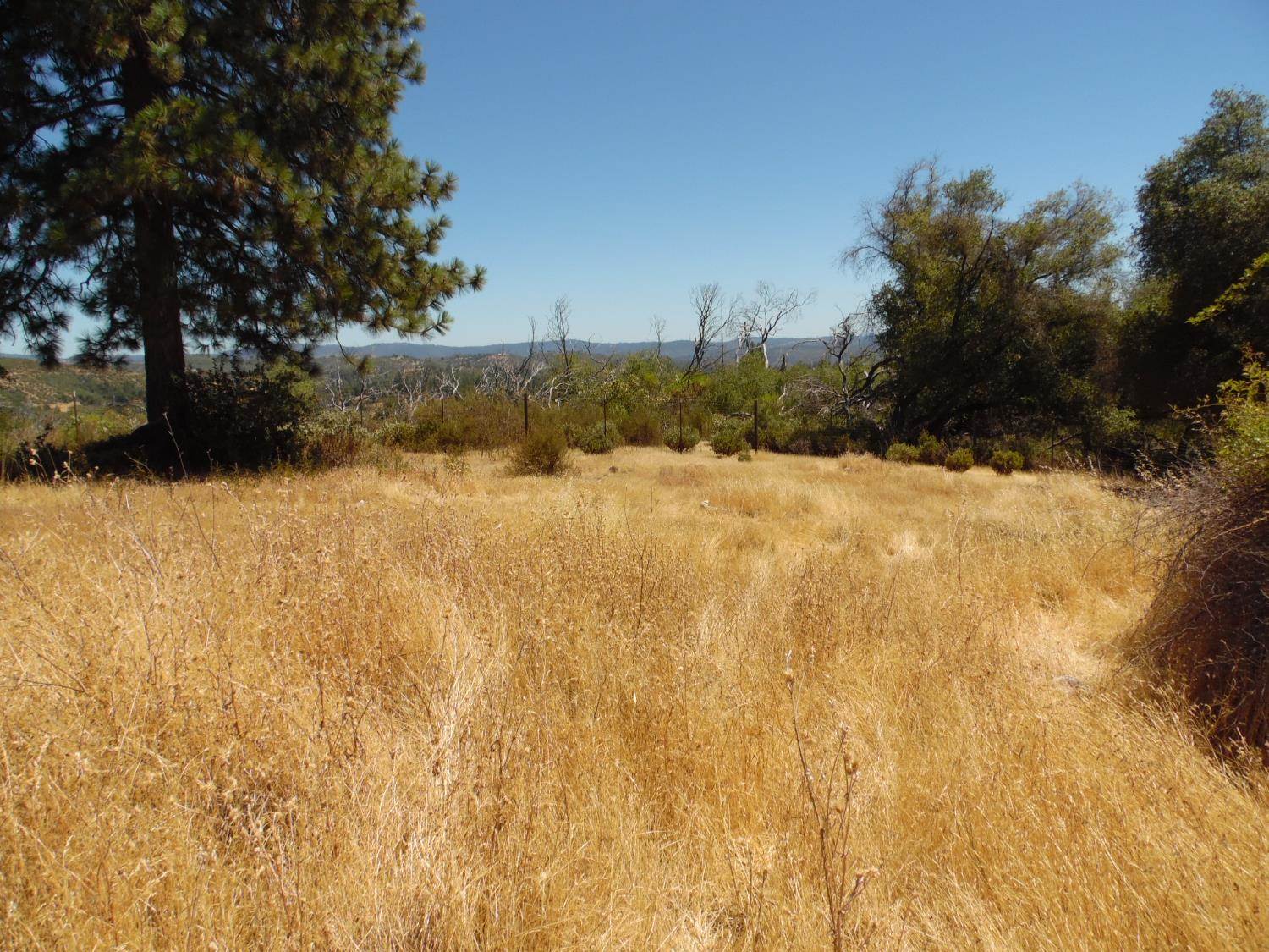 9741 Wendell Road, Mountain Ranch, CA 95246