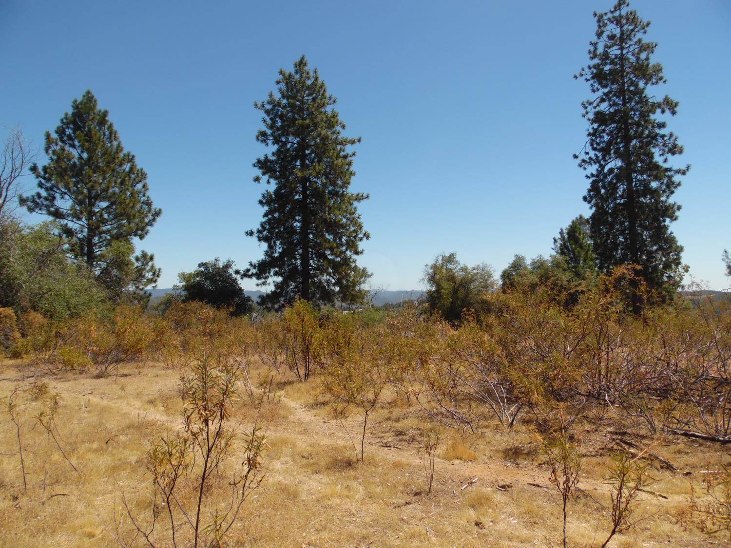 9741 Wendell Road, Mountain Ranch, CA 95246