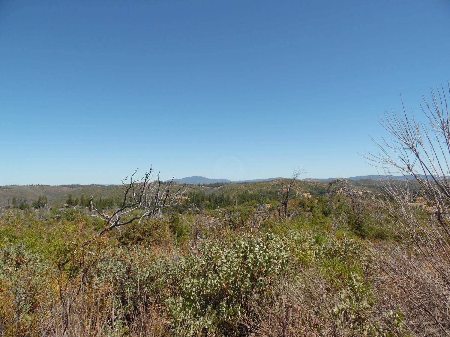 9741 Wendell Road, Mountain Ranch, CA 95246