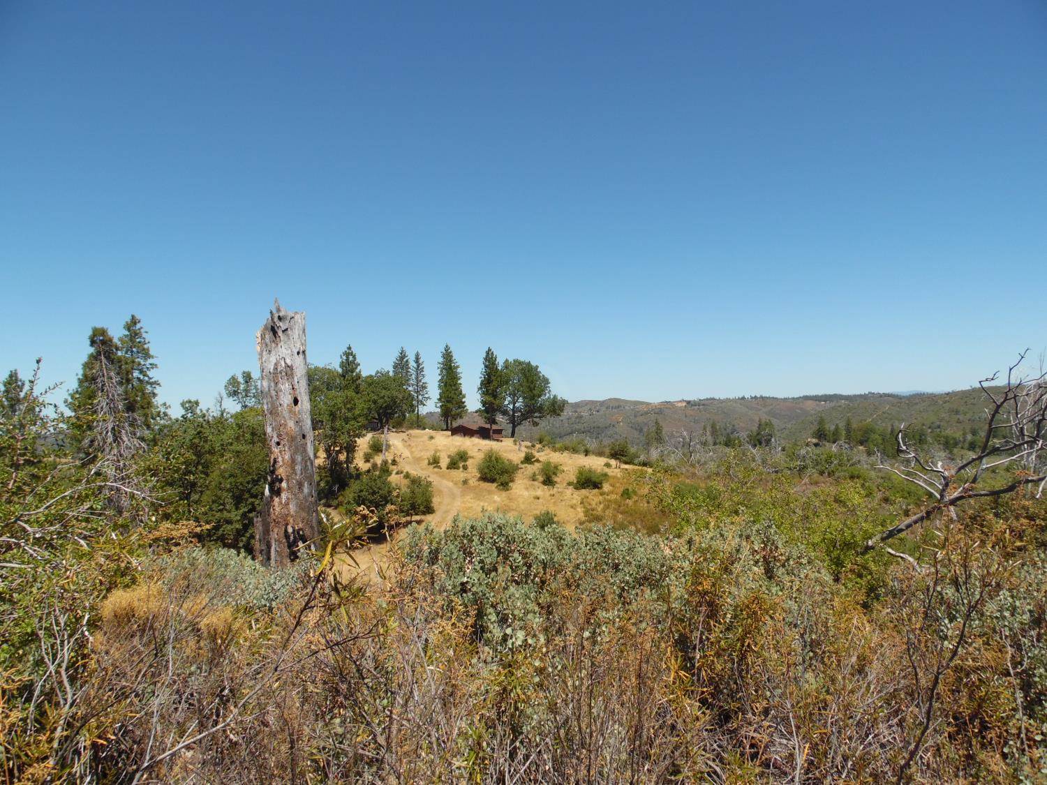 9741 Wendell Road, Mountain Ranch, CA 95246