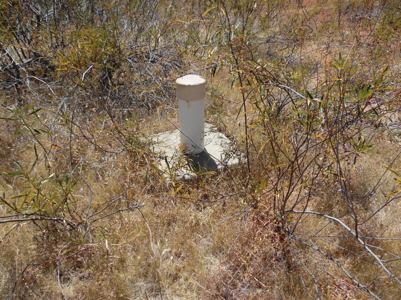 9741 Wendell Road, Mountain Ranch, CA 95246