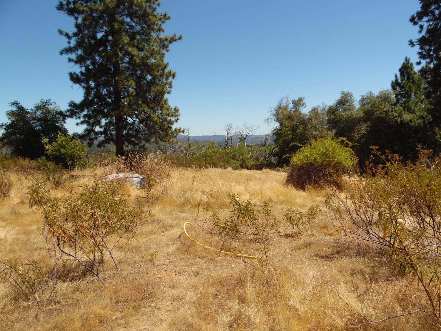 9741 Wendell Road, Mountain Ranch, CA 95246