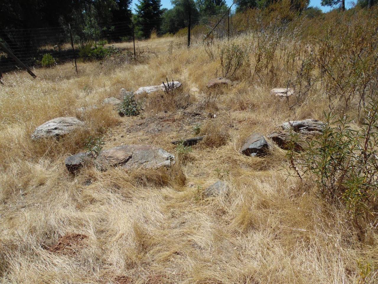 9741 Wendell Road, Mountain Ranch, CA 95246