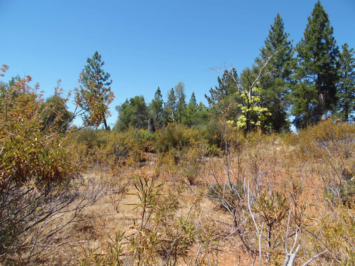 9741 Wendell Road, Mountain Ranch, CA 95246