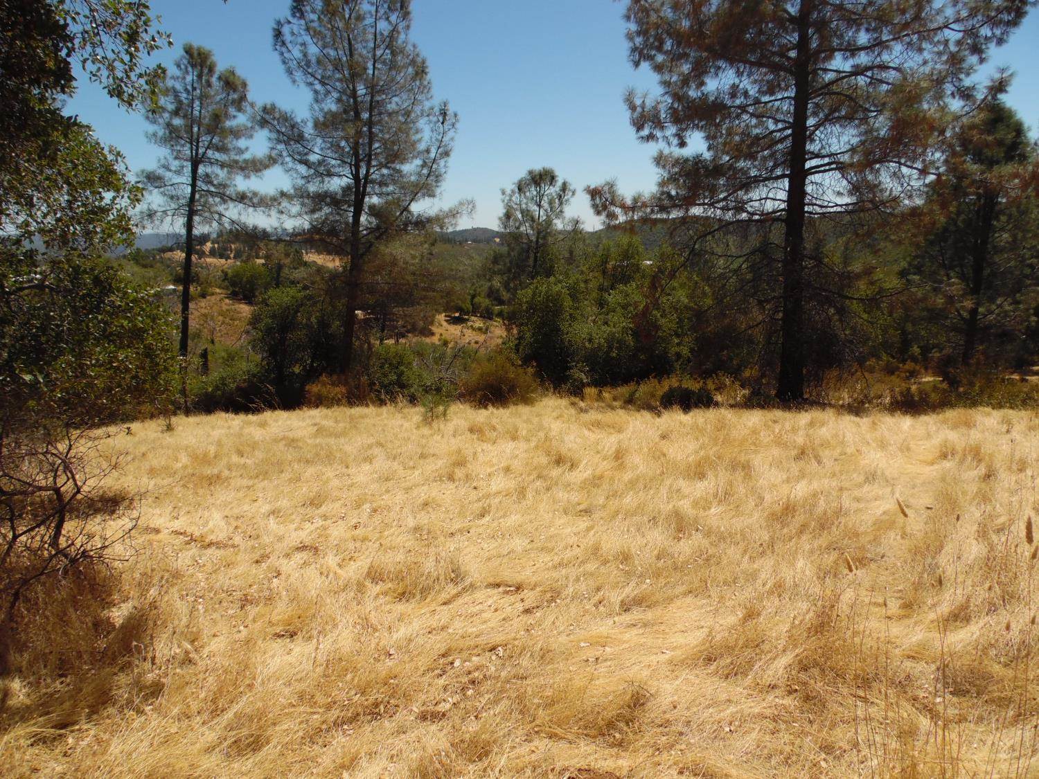 9741 Wendell Road, Mountain Ranch, CA 95246