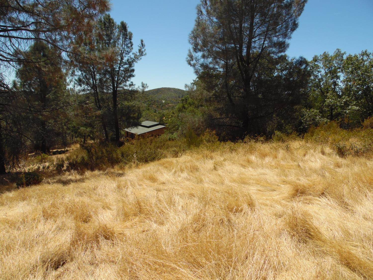 9741 Wendell Road, Mountain Ranch, CA 95246