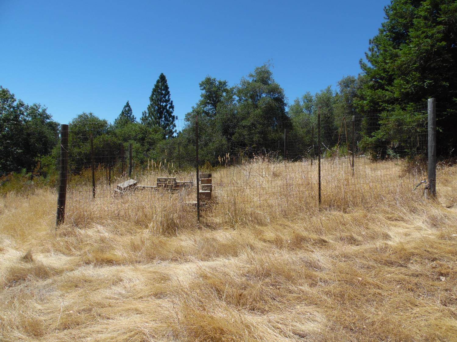 9741 Wendell Road, Mountain Ranch, CA 95246