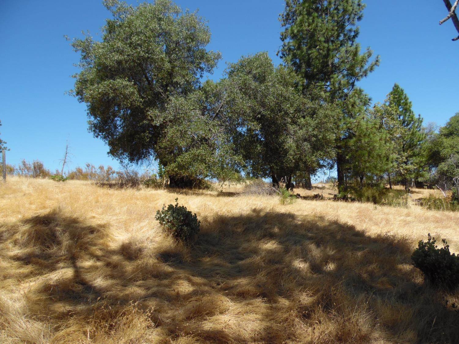 9741 Wendell Road, Mountain Ranch, CA 95246