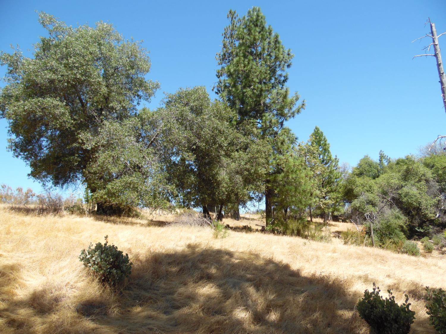 9741 Wendell Road, Mountain Ranch, CA 95246