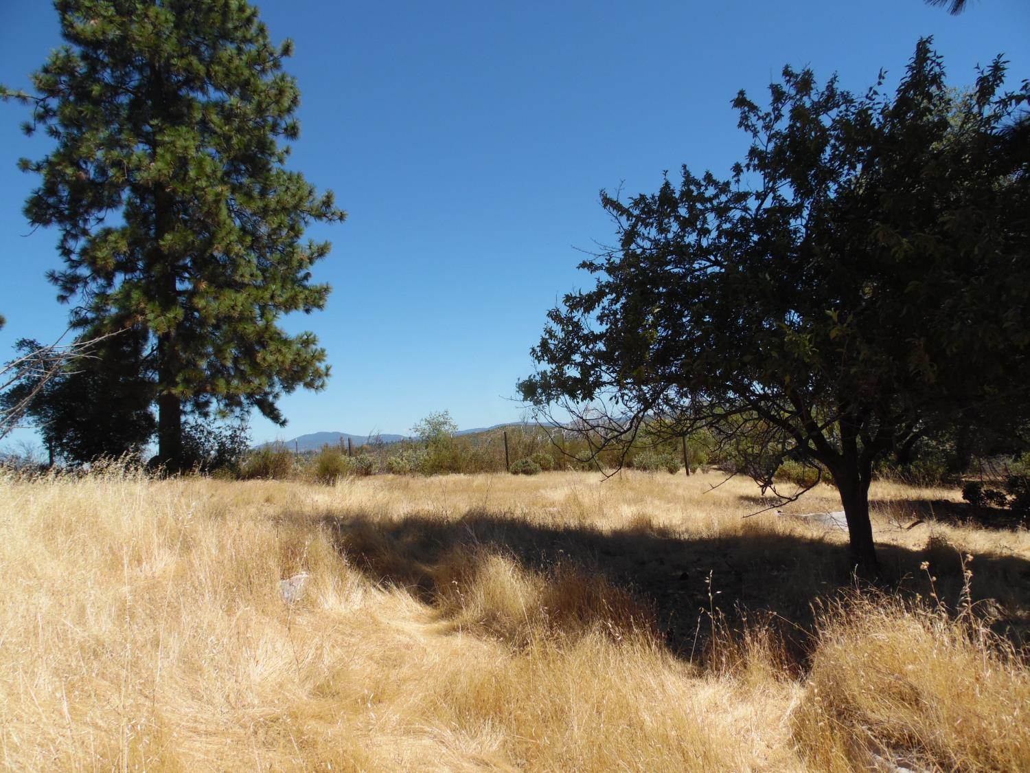 9741 Wendell Road, Mountain Ranch, CA 95246