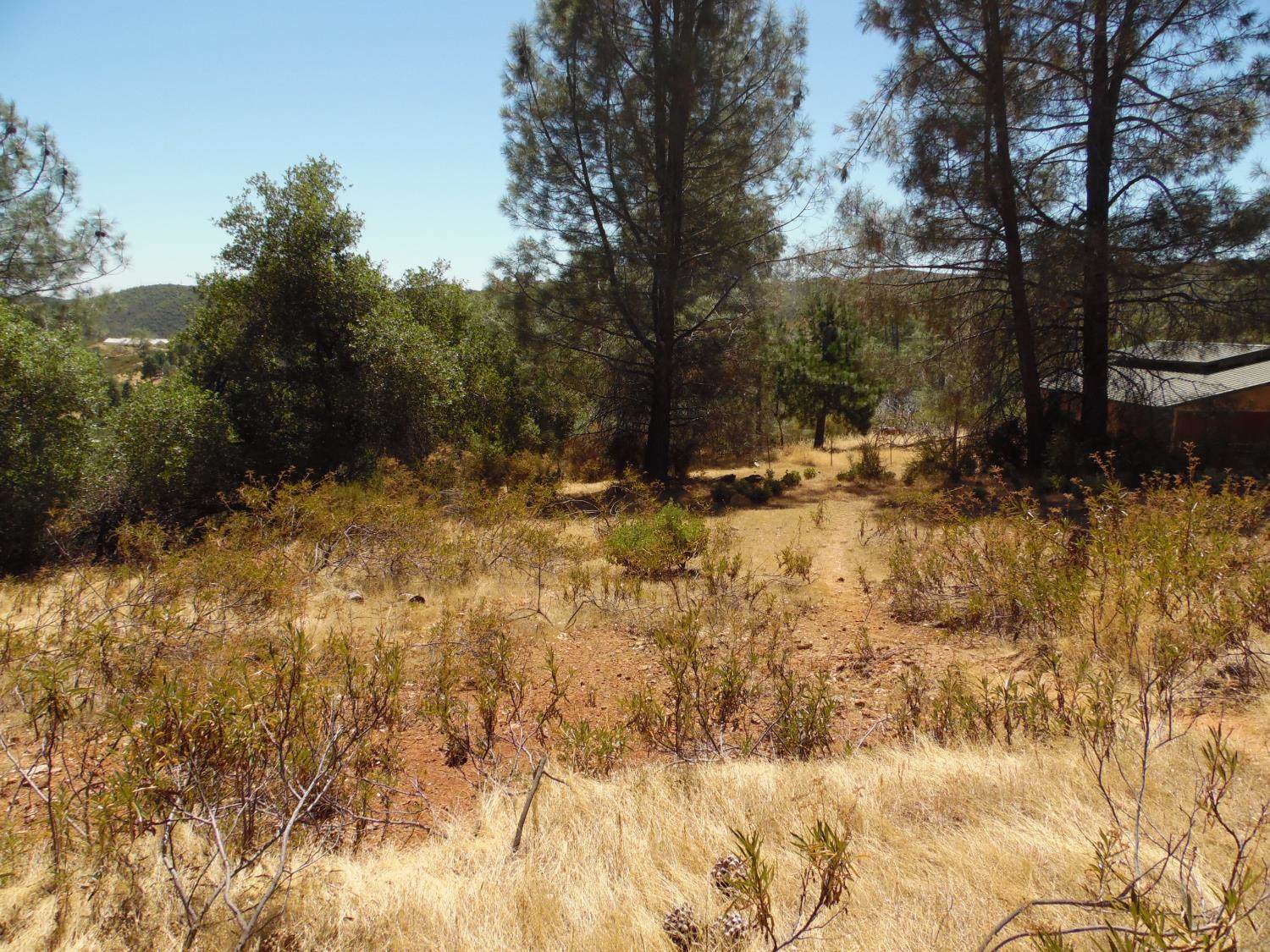 9741 Wendell Road, Mountain Ranch, CA 95246