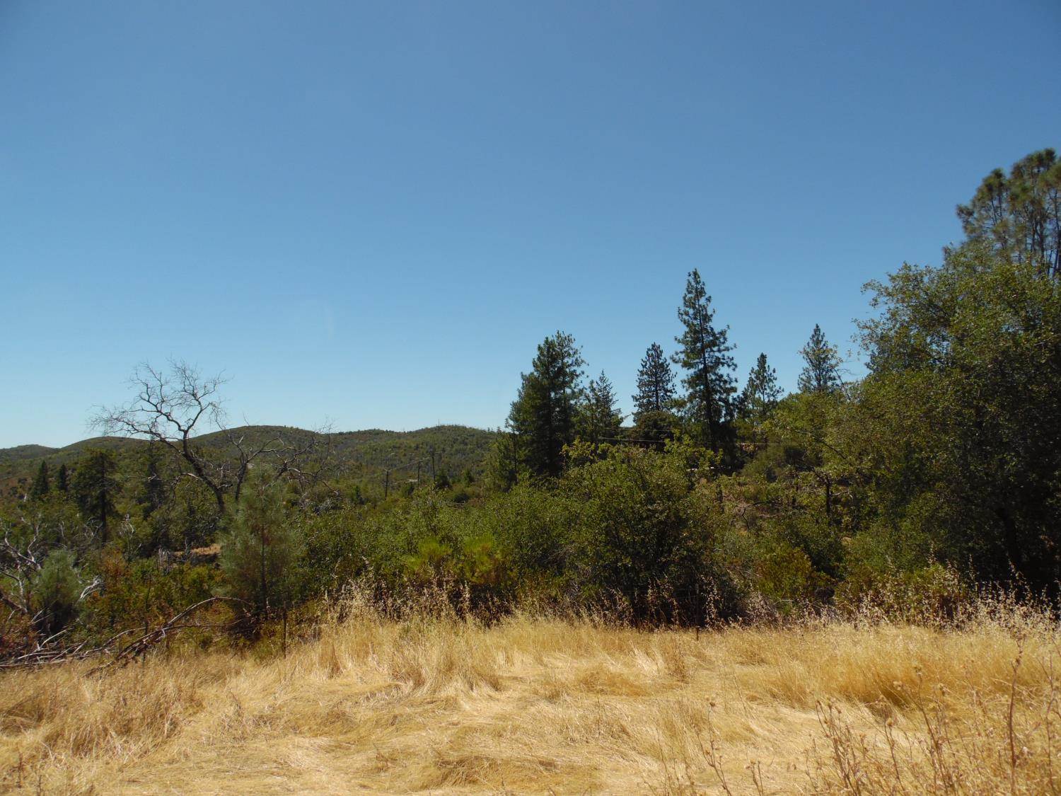 9741 Wendell Road, Mountain Ranch, CA 95246