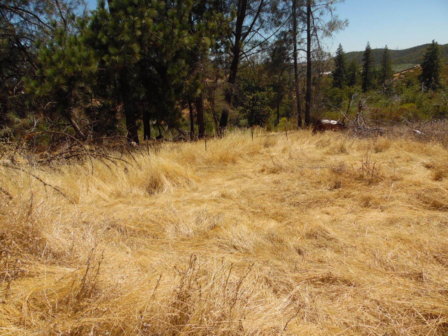 9741 Wendell Road, Mountain Ranch, CA 95246