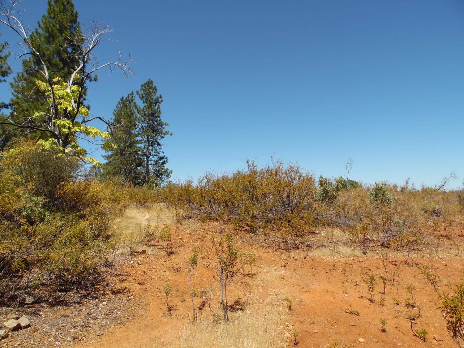 9741 Wendell Road, Mountain Ranch, CA 95246