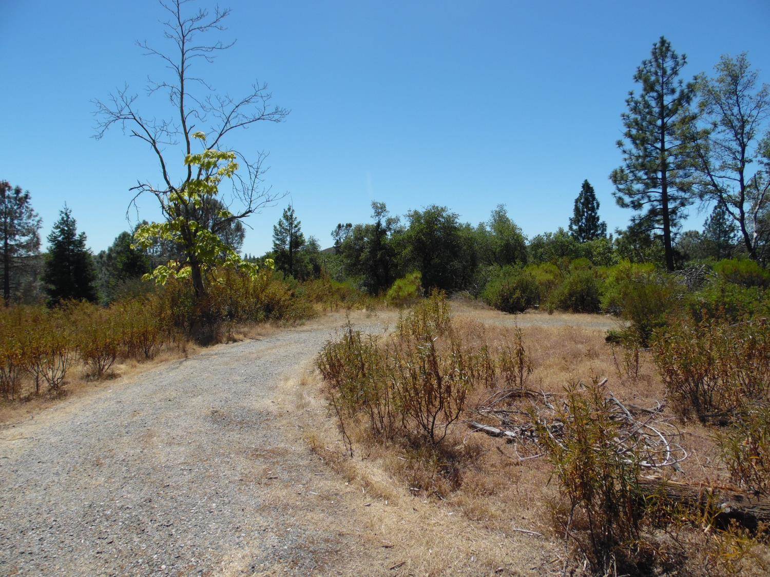 9741 Wendell Road, Mountain Ranch, CA 95246