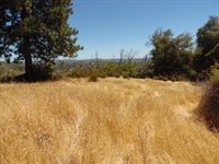 9741 Wendell Road, Mountain Ranch, CA 95246