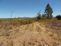 9741 Wendell Road, Mountain Ranch, CA 95246