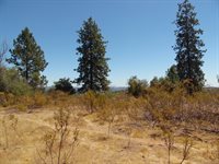 9741 Wendell Road, Mountain Ranch, CA 95246