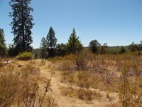 9741 Wendell Road, Mountain Ranch, CA 95246