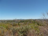 9741 Wendell Road, Mountain Ranch, CA 95246