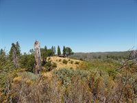 9741 Wendell Road, Mountain Ranch, CA 95246