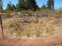 9741 Wendell Road, Mountain Ranch, CA 95246