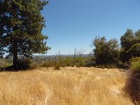 9741 Wendell Road, Mountain Ranch, CA 95246