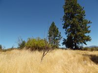 9741 Wendell Road, Mountain Ranch, CA 95246