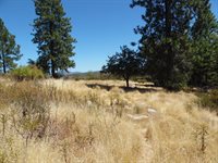 9741 Wendell Road, Mountain Ranch, CA 95246