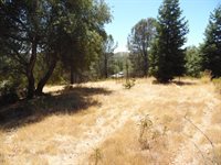 9741 Wendell Road, Mountain Ranch, CA 95246