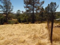 9741 Wendell Road, Mountain Ranch, CA 95246