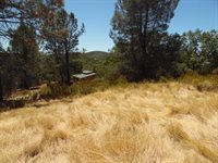 9741 Wendell Road, Mountain Ranch, CA 95246