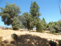 9741 Wendell Road, Mountain Ranch, CA 95246