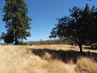 9741 Wendell Road, Mountain Ranch, CA 95246