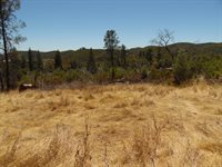 9741 Wendell Road, Mountain Ranch, CA 95246