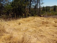 9741 Wendell Road, Mountain Ranch, CA 95246