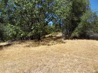 9741 Wendell Road, Mountain Ranch, CA 95246