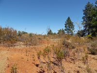 9741 Wendell Road, Mountain Ranch, CA 95246