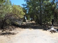 9741 Wendell Road, Mountain Ranch, CA 95246