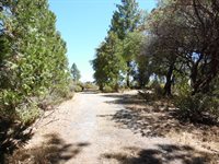 9741 Wendell Road, Mountain Ranch, CA 95246