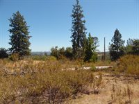 9741 Wendell Road, Mountain Ranch, CA 95246