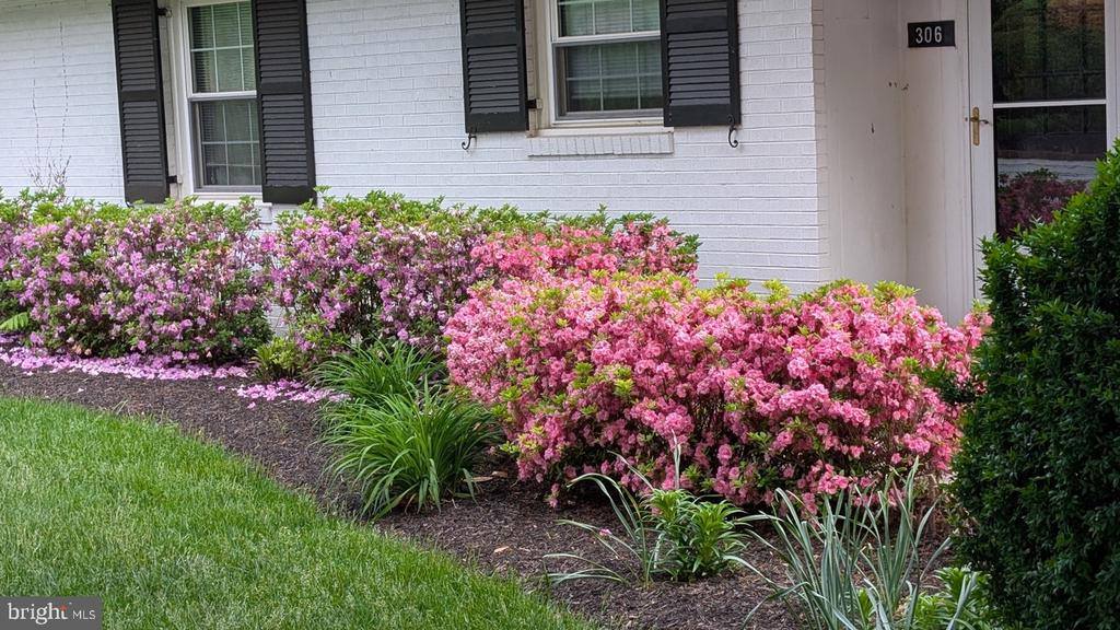 306 Stuyvesant Street, Warrenton, VA 20186