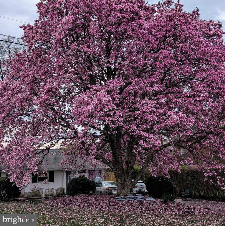 306 Stuyvesant Street, Warrenton, VA 20186