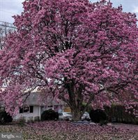 306 Stuyvesant Street, Warrenton, VA 20186