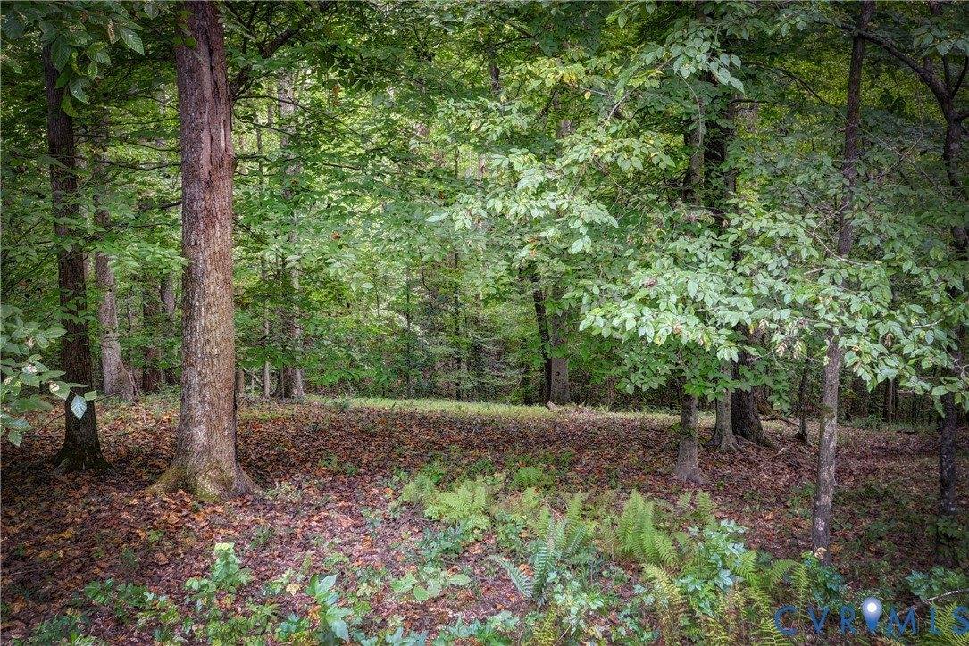 8615 Historical Path Road, New Kent, VA 23124