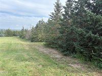 4848 Hwy 85 Lot 322, Williston, ND 58801